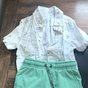 vineyard vines palm.tree print toddler button shirt